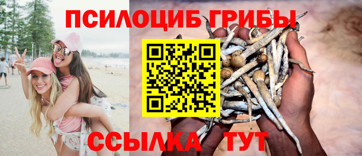 Галлюциногенные грибы прущие грибы  Псилоцибиновые грибы Magic Shrooms  Вход с VPN  Тольятти 